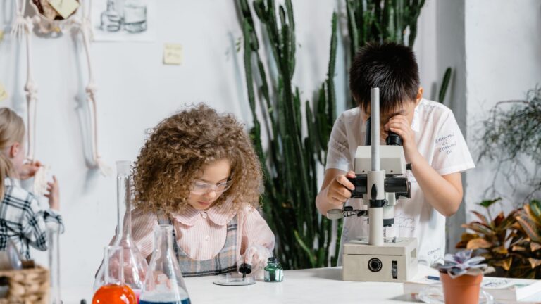 Petiscope : avis et analyse complète du microscope enfant