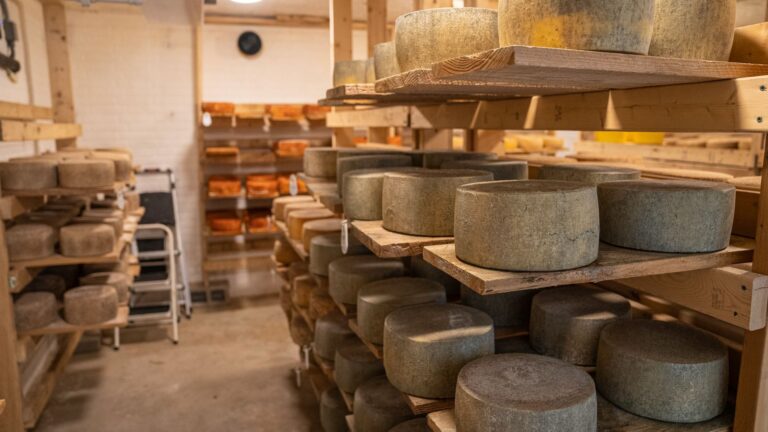 Comment devenir fromager affineur